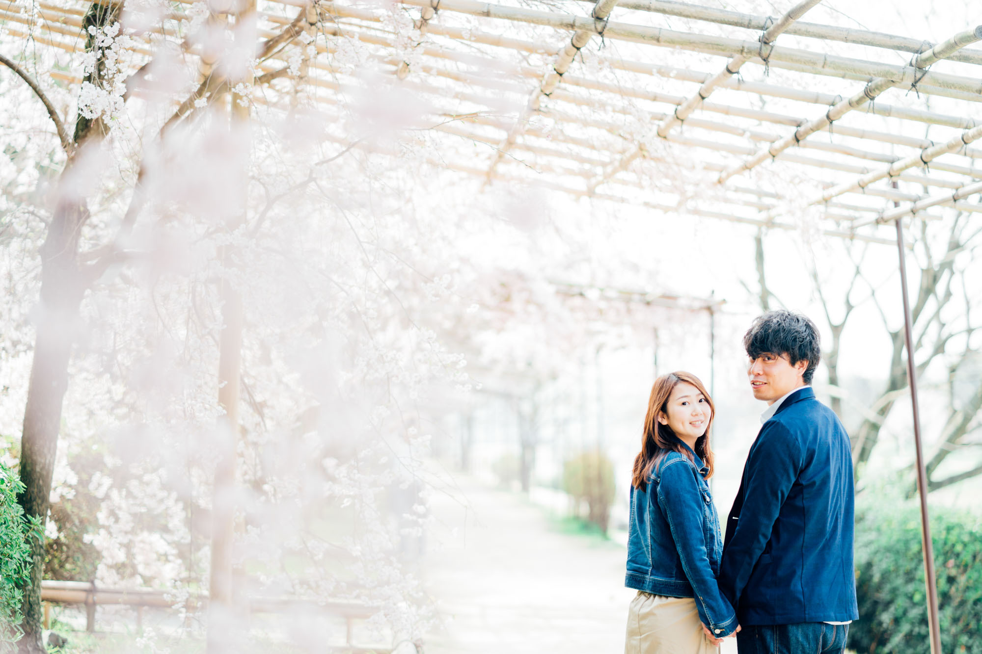 京都での桜前撮りロケーション撮影出張カメラマン