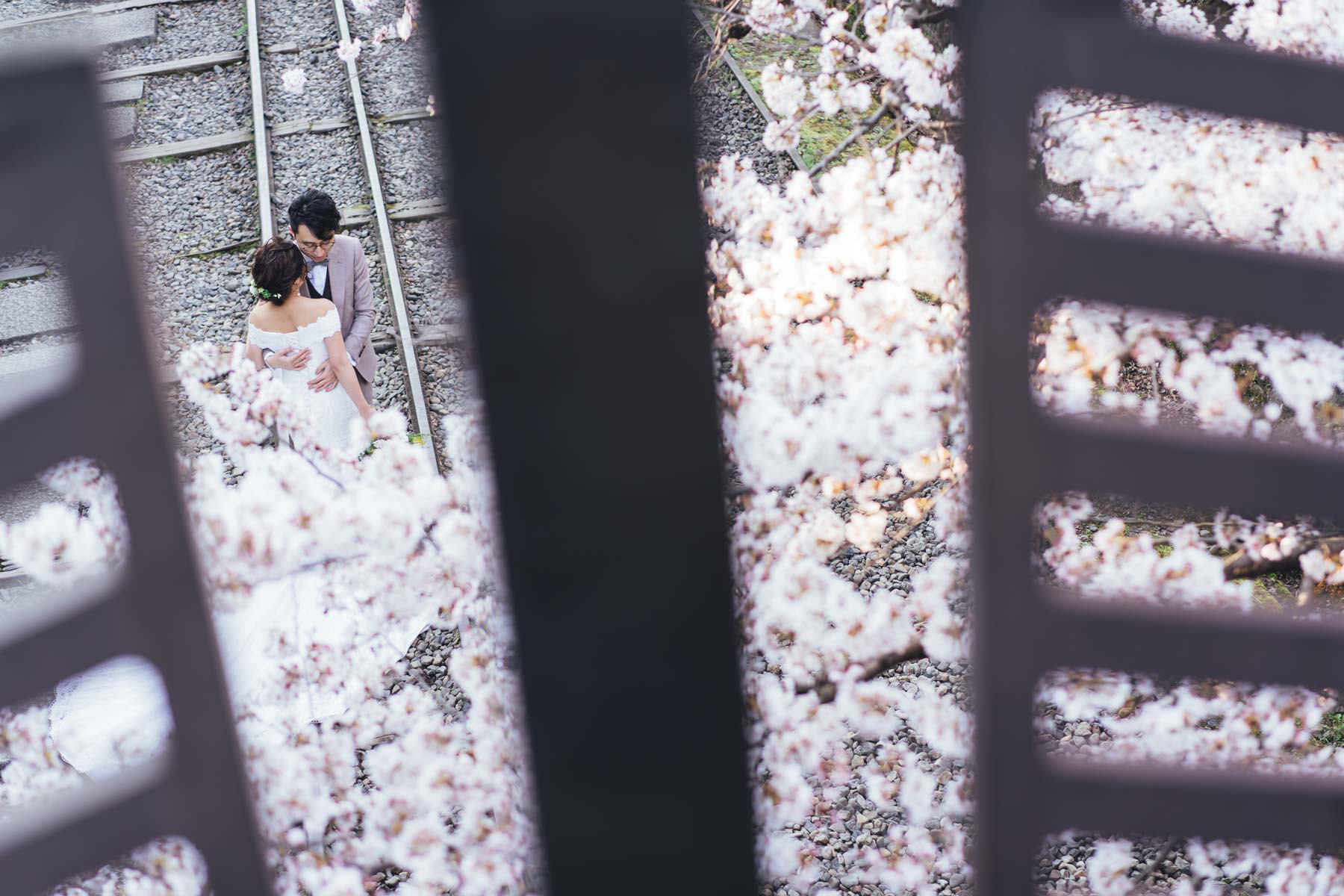 京都桜ロケーションフォト前撮り写真撮影カメラマン