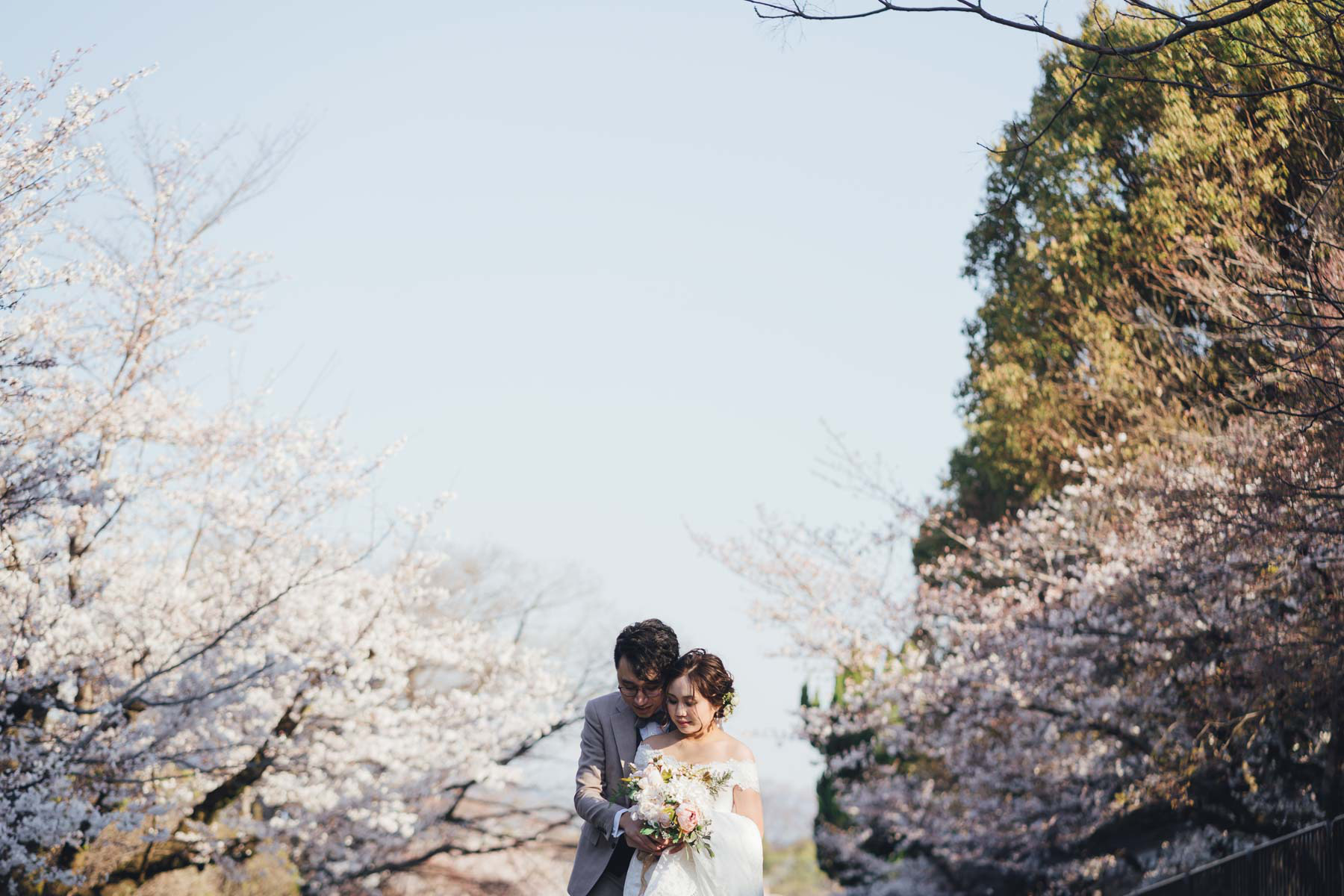 京都桜ロケーションフォト前撮り写真撮影カメラマン