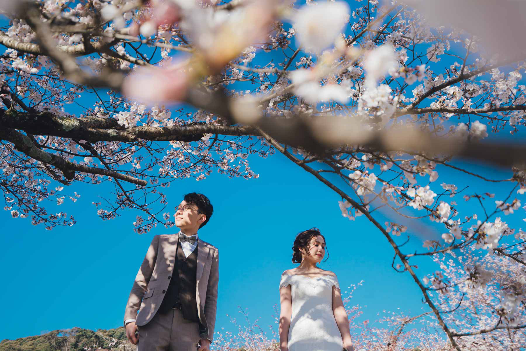 京都桜ロケーションフォト前撮り写真撮影カメラマン
