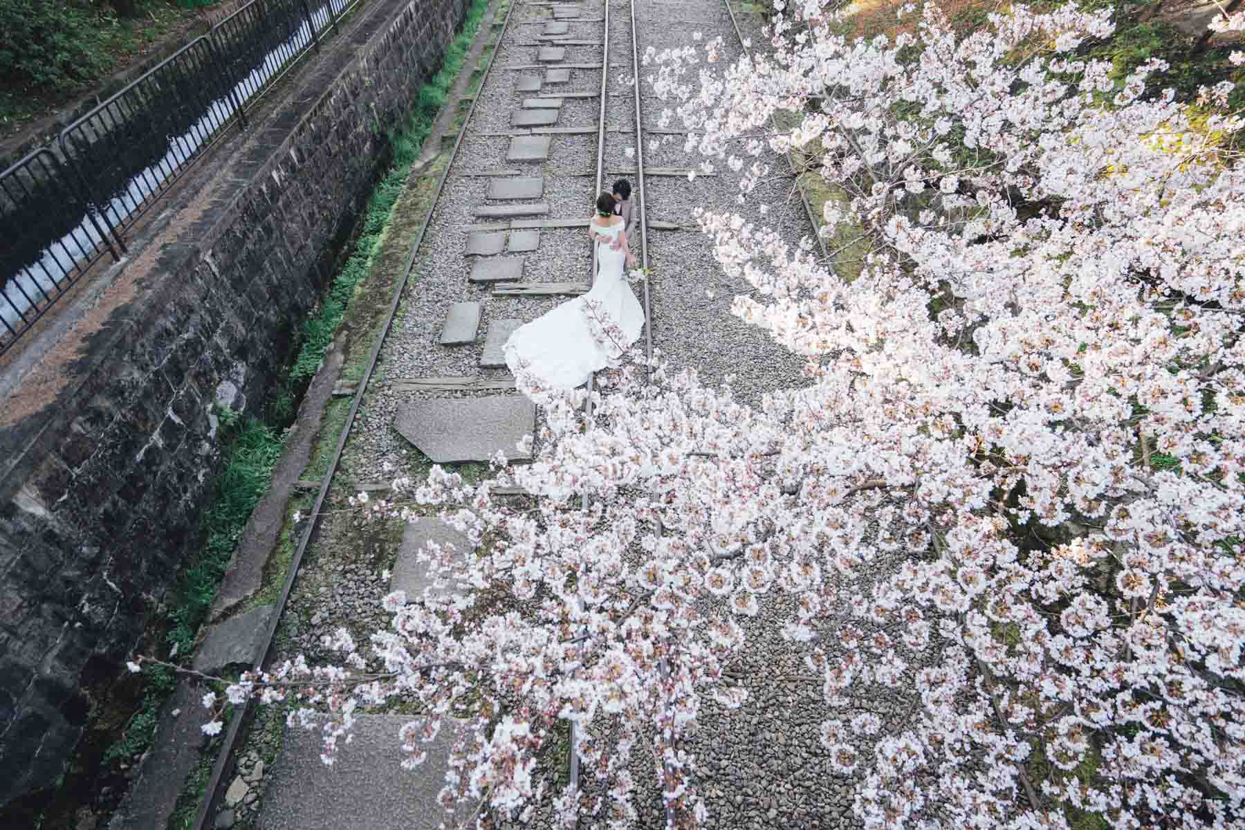 京都での桜前撮りロケーション撮影出張カメラマン　