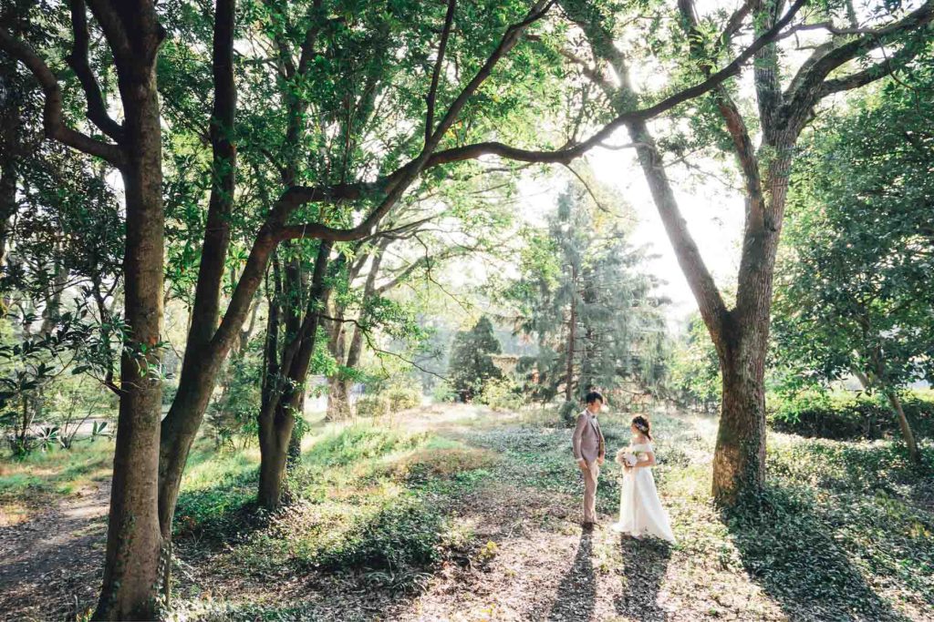 Kyoto Cherry Blossom Pre Wedding