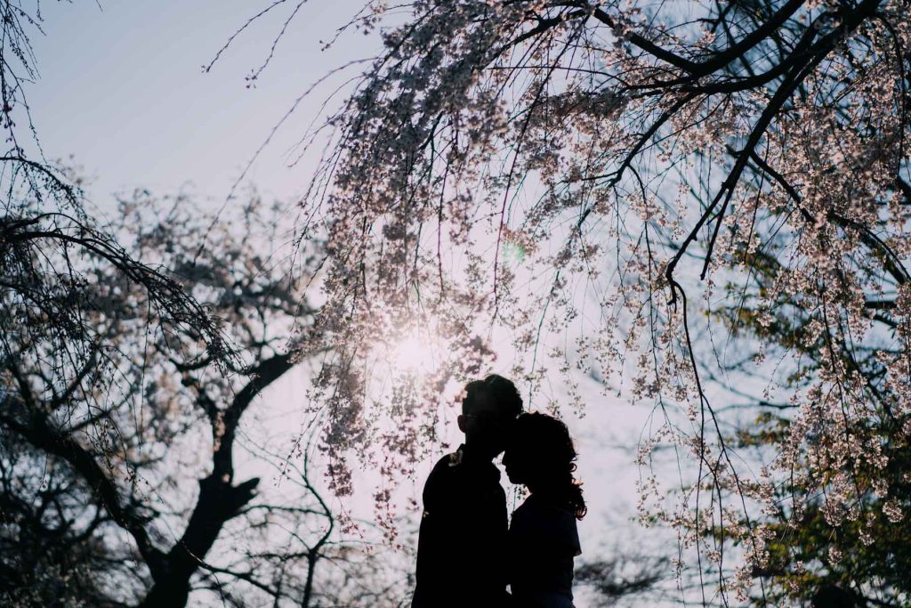 Kyoto Cherry Blossom Pre Wedding