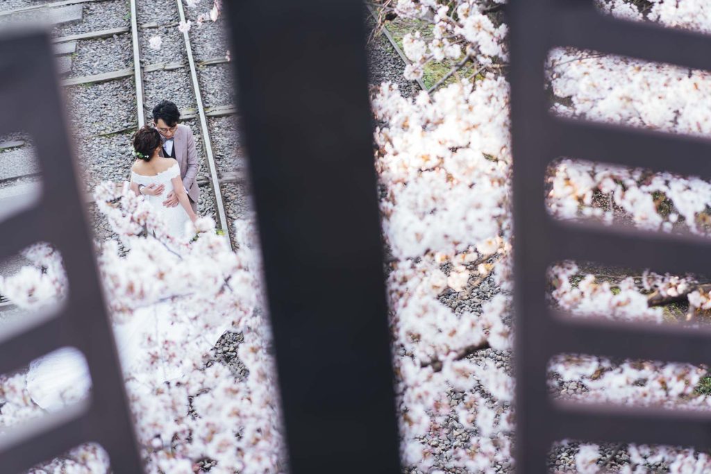 Kyoto Cherry Blossom Pre Wedding