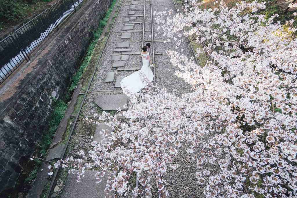 Kyoto Cherry Blossom Pre Wedding