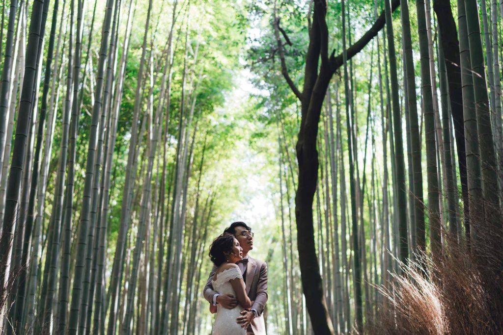 Kyoto Cherry Blossom Pre Wedding