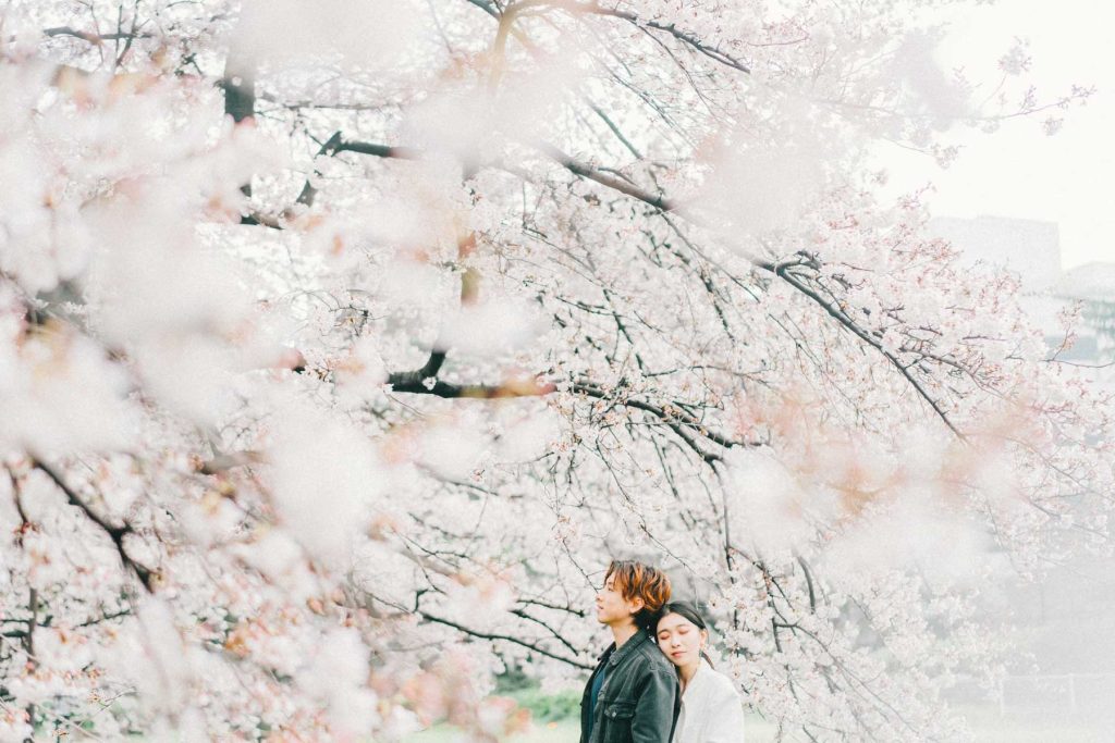 Tokyo Cherry Blossom Pre Wedding