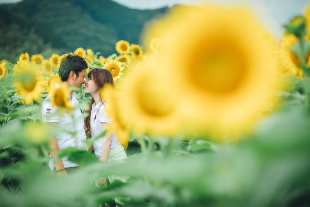 Kyoto  pre wedding photo session 